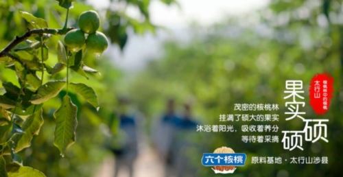 KU酷游官网-不凡成就非凡,相信品牌力量